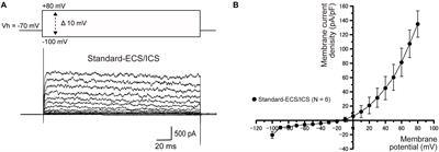 Large-Conductance Calcium-Activated Potassium Channels and Voltage-Dependent Sodium Channels in Human Cementoblasts